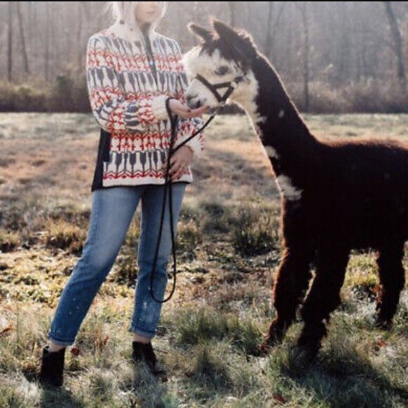Anthropologie Red and Gray Sleeping on Snow Intarsia Wool Blend Jacket - Picture 2 of 12
